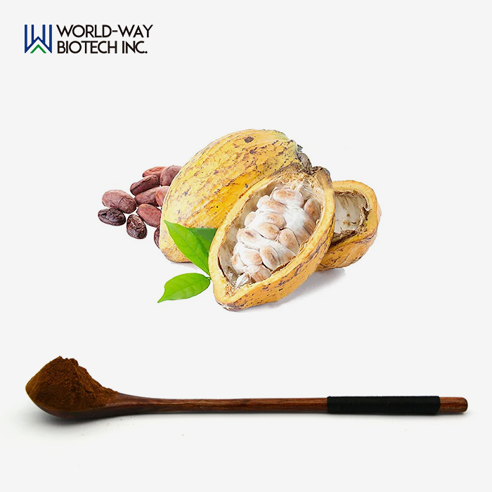 Cocoa Extract Powder Cocoa Extract Powder